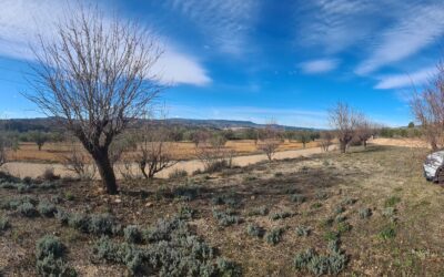 Dit Is De Vierde Post